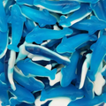 Requin Bleu Trolli - 100g